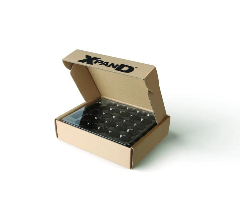 XPAND X101 batteries (050-BATTERY) (100 pcs)